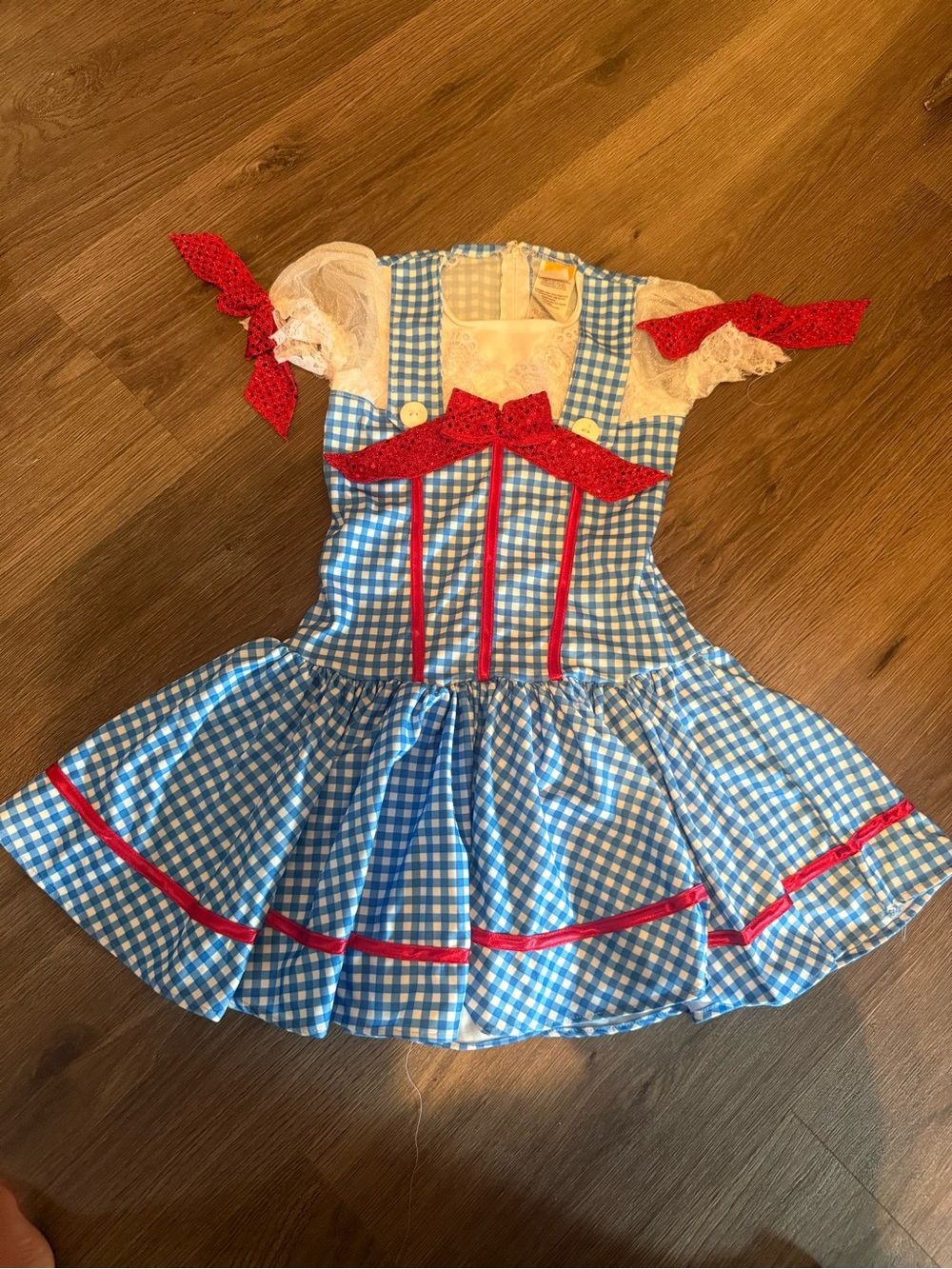 Dorothy wizard of oz dress